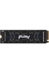 Fury Renegade 500GB SFYRS/500G