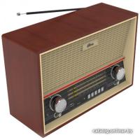 Ritmix RPR-102 (бук)