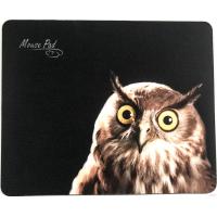 Dialog PM-H15 Owl