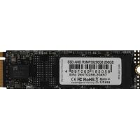 AMD Radeon R3 256GB R3MP30256G8