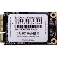 AMD Radeon R5 256GB R5MS256G5