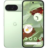 Google Pixel 9 12GB/128GB (винтергрин)