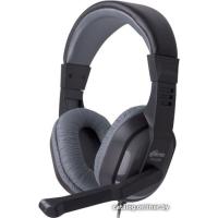 Ritmix RH-534M