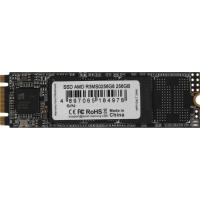 AMD Radeon R3 256GB R3MS0256G8