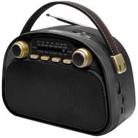 Ritmix RPR-040 (черный)