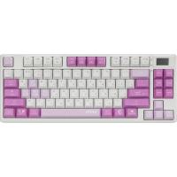MSI Forge GK600 TKL Wireless Violet