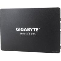 Gigabyte 256GB GP-GSTFS31256GTND